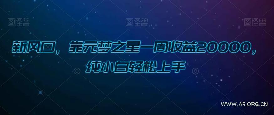 新风口，靠元梦之星一周收益20000，纯小白轻松上手-小红泡
