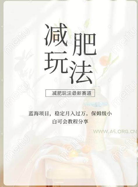 减肥流量主新玩法，轻松月入1W，可矩阵操作收入翻倍-小红泡