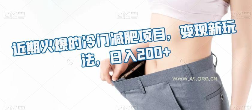 近期火爆的冷门减肥项目，变现新玩法，日入200+-小红泡
