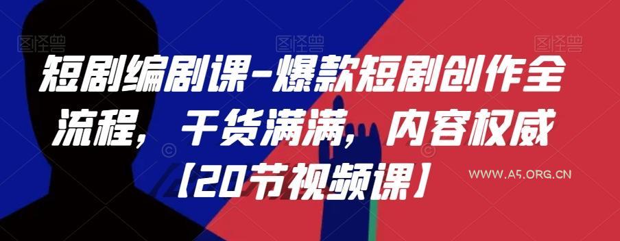 短剧编剧课-爆款短剧创作全流程,干货满满,内容权威【20节视频课】-小红泡