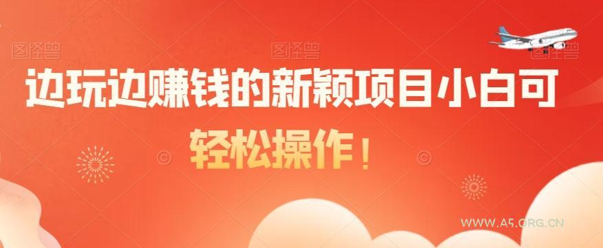 边玩边赚钱的新颖项目小白可轻松操作!-小红泡