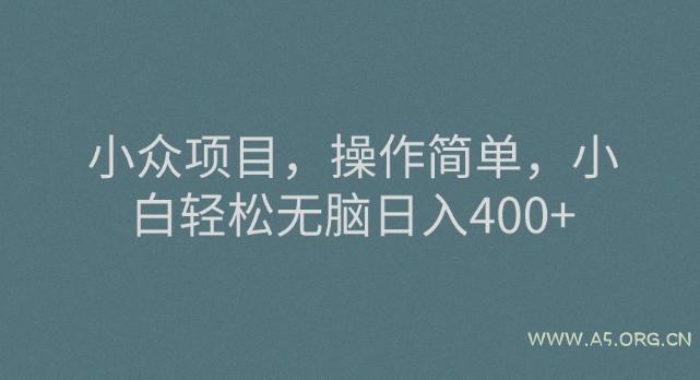 小众项目,操作简单,小白轻松无脑日入400+-小红泡