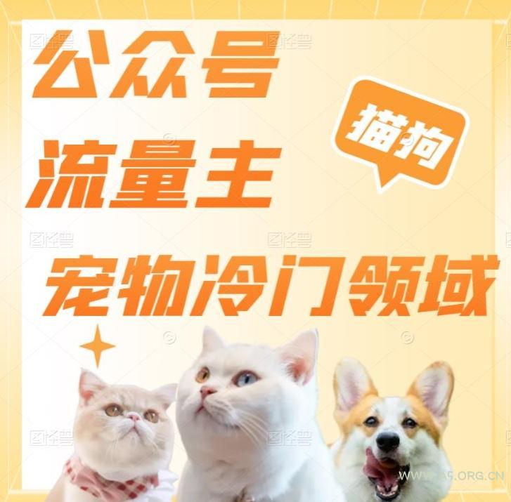 公众号流量主，萌宠冷门领域，单日收益2000+，简单暴力掘金，矩阵操作，无限放大收益！-小红泡