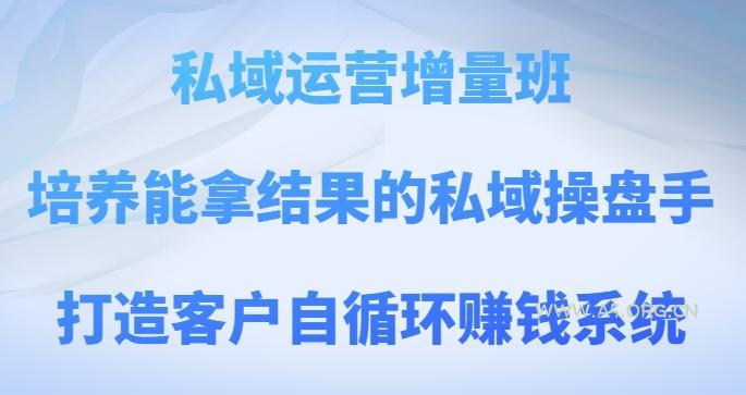 私域运营增量班，培养能拿结果的私域操盘手，打造客户自循环赚钱系统-小红泡