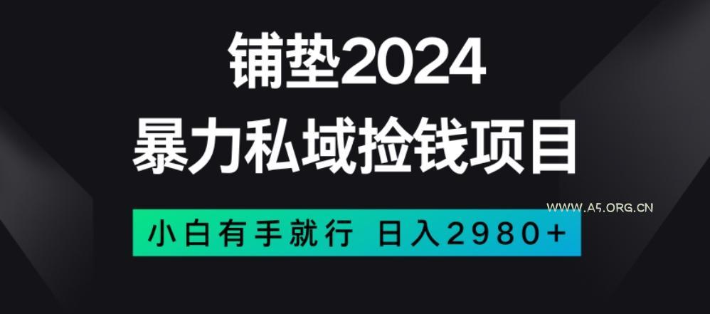 暴力私域捡钱项目，小白无脑操作，日入2980【揭秘】-小红泡
