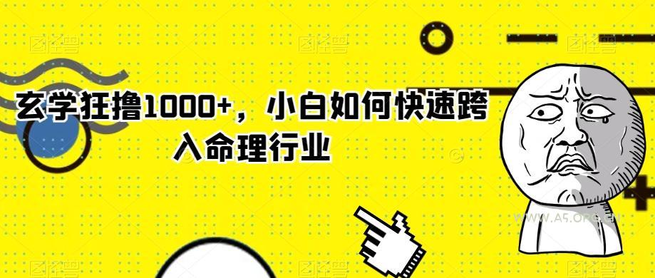 玄学狂撸1000+，小白如何快速跨入命理行业-小红泡