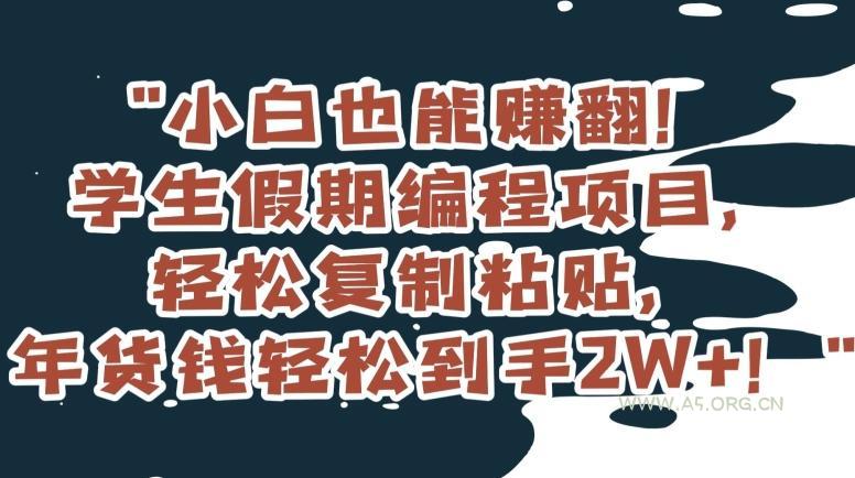 小白也能赚翻!学生假期编程项目,轻松复制粘贴,年货钱轻松到手2W+【揭秘】-小红泡