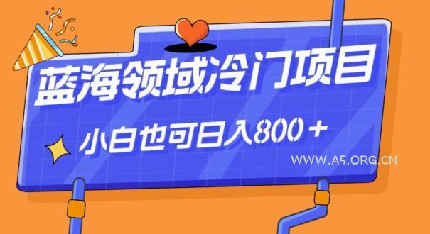 蓝海领域冷门赛道，一单39.9，日入800＋-小红泡
