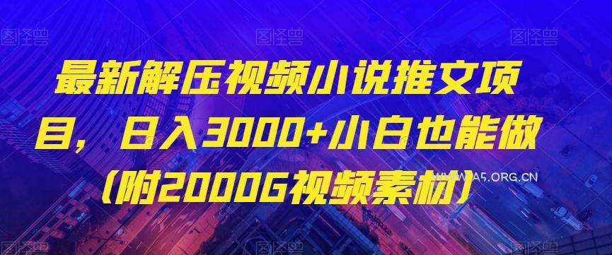 最新解压视频小说推文项目,日入3000+小白也能做(附2000G视频素材)【揭秘】-小红泡