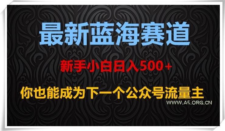最新蓝海赛道，新手小白日入500+，你也能成为下一个公众号流量主【揭秘】-小红泡