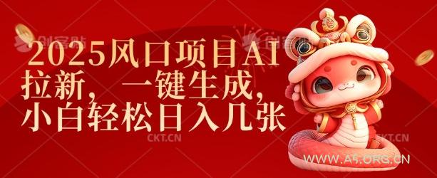 2025风口项目AI拉新，一键生成，小白轻松日入几张-小红泡
