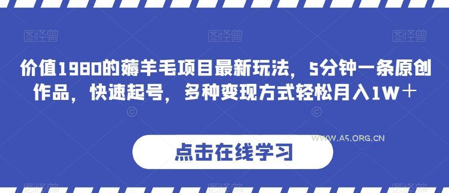 价值1980的薅羊毛项目最新玩法,5分钟一条原创作品,快速起号,多种变现方式轻松月入1W+【揭秘】-小红泡