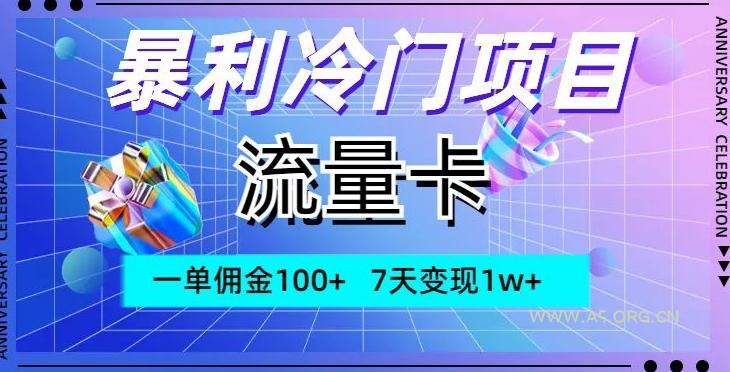 暴利冷门项目,流量卡,一单佣金100+,7天变现1w+-小红泡