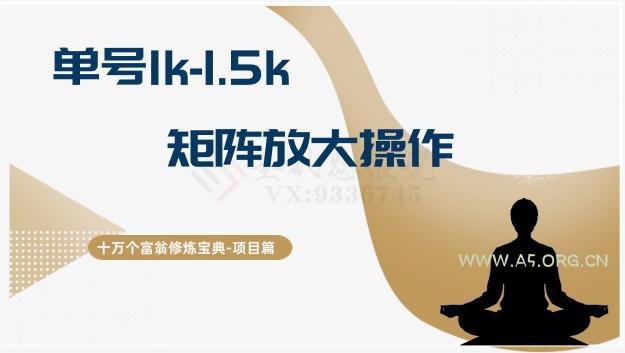 十万个富翁修炼宝典15.单号1k-1.5k,矩阵放大操作-小红泡