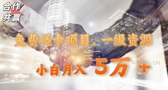 免费送卡项目,一级资源,小白月入5万+-小红泡