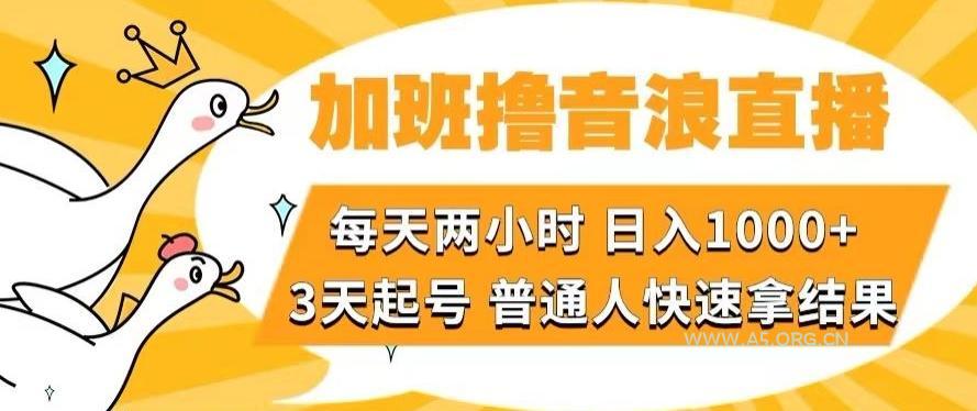 加班撸音浪直播，每天两小时，日入1000+，直播话术才3句，3天起号，普通人快速拿结果【揭秘】-小红泡