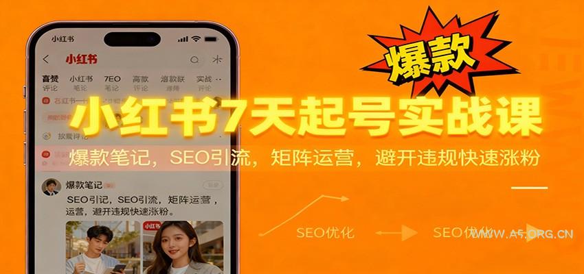 小红书7天起号实战课：爆款笔记，SEO引流，矩阵运营，避开违规快速涨粉-小红泡
