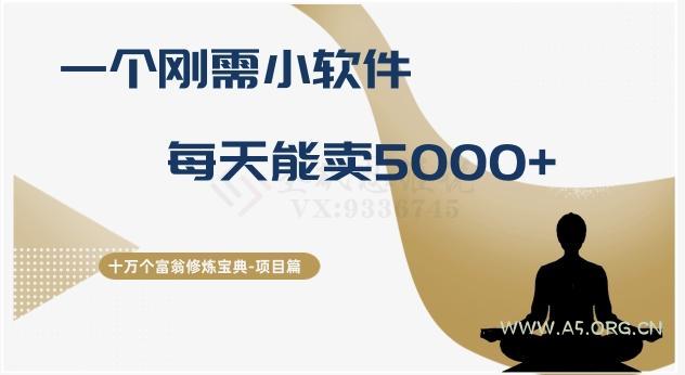 十万个富翁修炼宝典之17.一个刚需小软件,每天能卖5000+-小红泡