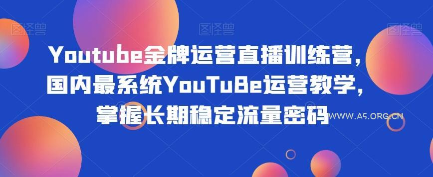 Youtube金牌运营直播训练营,国内最系统YouTuBe运营教学,掌握长期稳定流量密码-小红泡