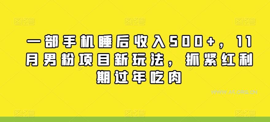 一部手机睡后收入500+,11月男粉项目新玩法,抓紧红利期过年吃肉-小红泡