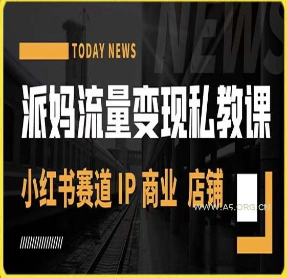 派妈流量变现私教课，小红书赛道IP  商业  店铺 -小红泡