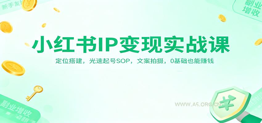 小红书IP变现实战课:定位搭建,光速起号SOP,文案拍摄,0基础也能赚钱-小红泡