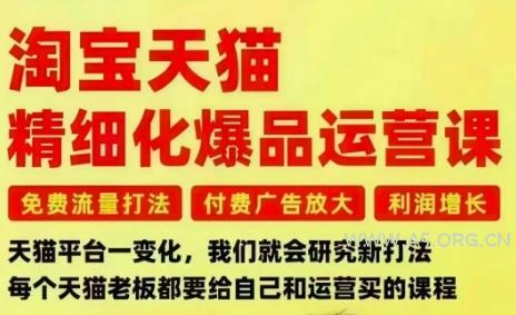 淘宝天猫精细化爆品运营课,免费流量打法-付费广告放大-利润增长-三大核心痛点,一次全部解决-小红泡