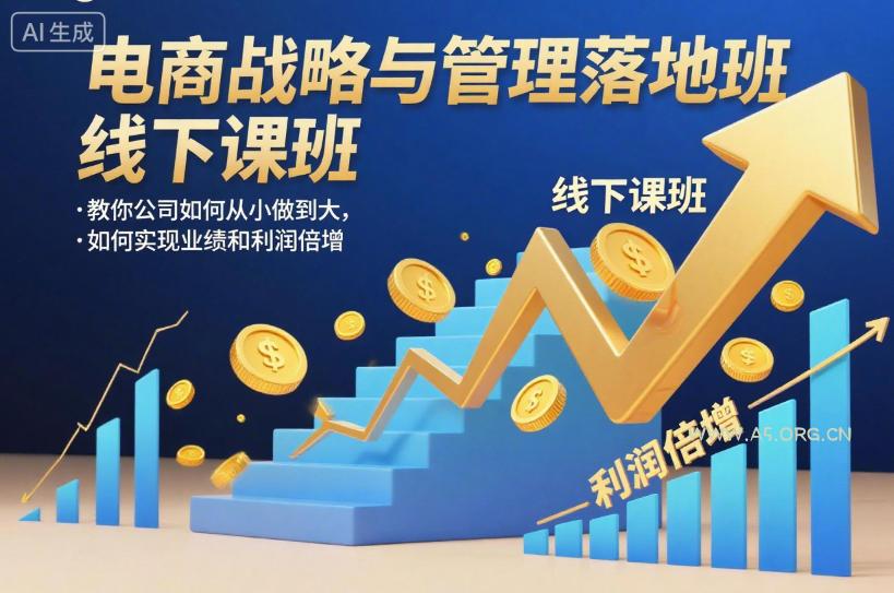 电商战略与管理落地班线下课,教你公司如何从小做到大,如何实现业绩和利润倍增【录音】-小红泡