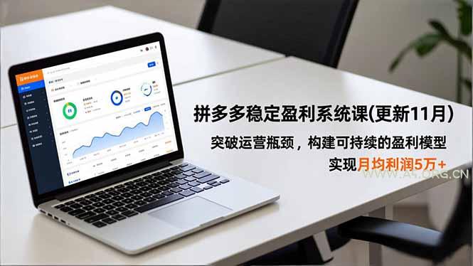 11月更新-拼多多稳定盈利系统课-小红泡