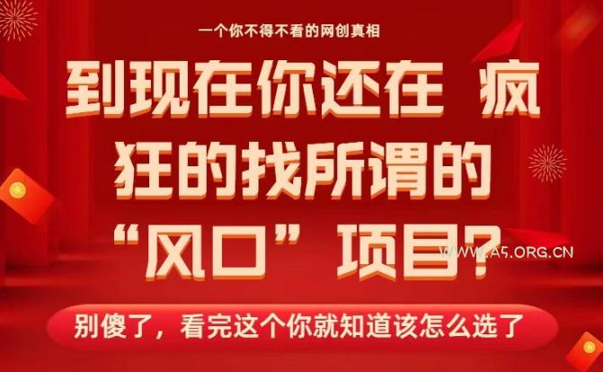 马上26年了，你还在找所谓的风口项目？别傻了，看完这个你全都懂了！【揭秘】-小红泡