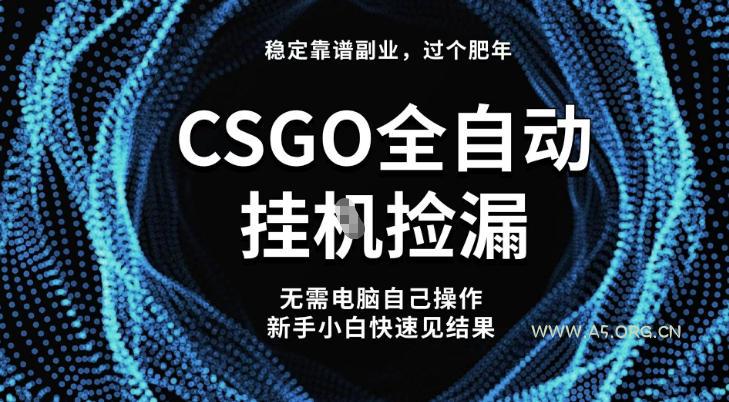 【稳定副业】全球最热门游戏CSGO全自动捡漏,最新玩法,新手小白日入5张+【揭秘】-小红泡