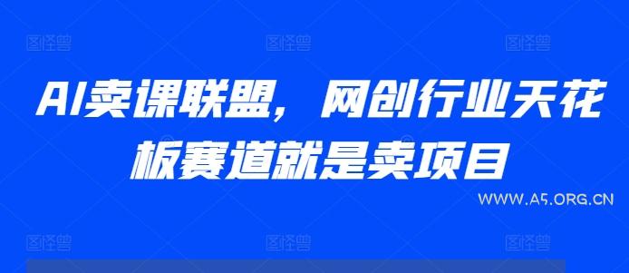 AI卖课联盟，网创行业天花板赛道就是卖项目-小红泡