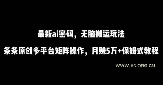 最新ai流量密码，傻瓜式搬运玩法，条条原创，多平台矩阵操作，月赚5万+保姆式教程【揭秘】-小红泡