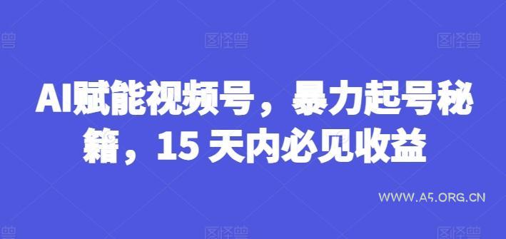 AI赋能视频号，暴力起号秘籍，15 天内必见收益【揭秘】-小红泡