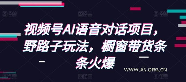 视频号AI语音对话项目,野路子玩法,橱窗带货条条火爆-小红泡