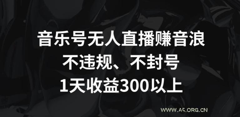 音乐号无人直播赚音浪，不违规、不封号，1天收益300+【揭秘】-小红泡