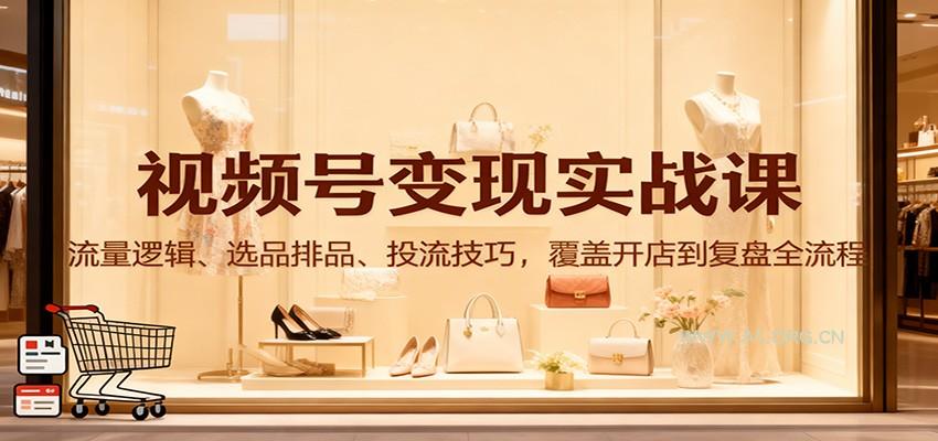 视频号变现实战课：流量逻辑、选品排品、投流技巧，覆盖开店到复盘全流程-小红泡