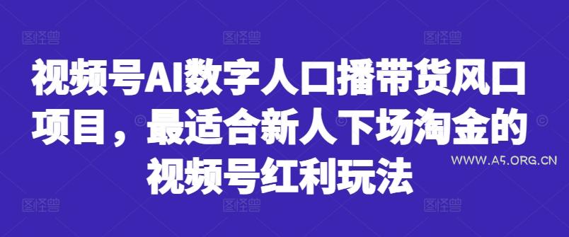 视频号AI数字人口播带货风口项目，最适合新人下场淘金的视频号红利玩法-小红泡