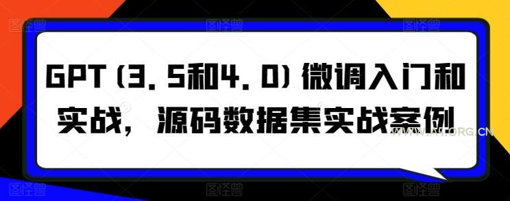 GPT(3.5和4.0)微调入门和实战,源码数据集实战案例-小红泡