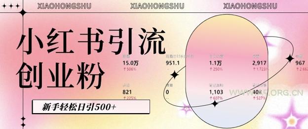 小红书私域引流无脑操作法:AI生成内容,粉丝自动转化,新手轻松日引500+创业粉-小红泡