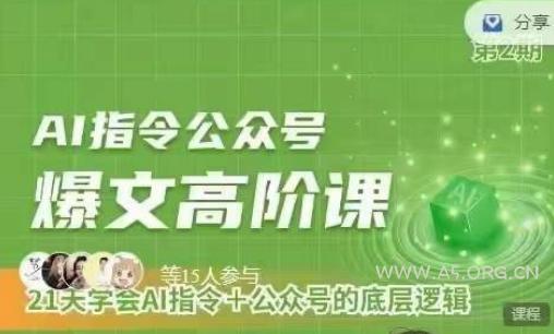 Ai指令公众号高阶课，学会ai指令+公众号的底层逻辑-小红泡