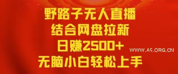 野路子无人直播结合网盘拉新，日赚2500+，小白无脑轻松上手【揭秘】-小红泡