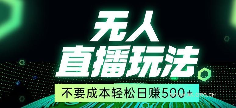 全网首发24年最新无人直播玩法,不需要成本,无需人力,一台电脑24小时为你工作-小红泡