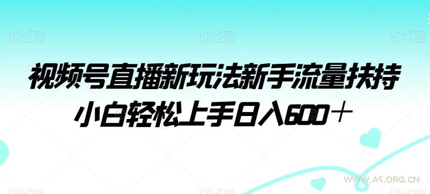 视频号直播新玩法新手流量扶持小白轻松上手日入600＋【揭秘】-小红泡