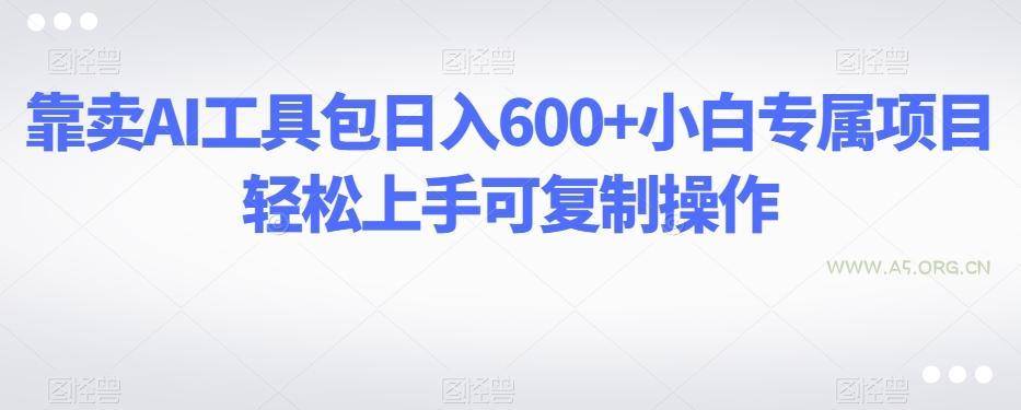 靠卖AI工具包日入600+小白专属项目轻松上手可复制操作-小红泡