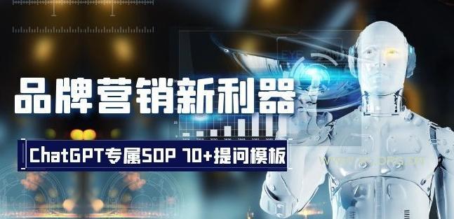 品牌营销新利器：ChatGPT专属SOP，70+提问模板【文档】-小红泡