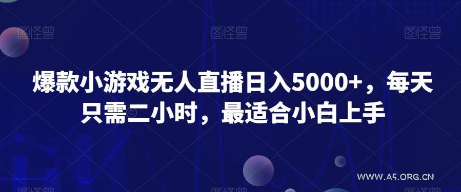 爆款小游戏无人直播日入5000+，每天只需二小时，最适合小白上手-小红泡