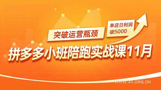 拼多多小班陪跑实战课11月,强付费矩阵、原价活动、暗券引流,突破运营瓶颈,单店日利润破5000-小红泡