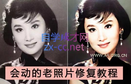 AI老相片视频变现训练营-小红泡