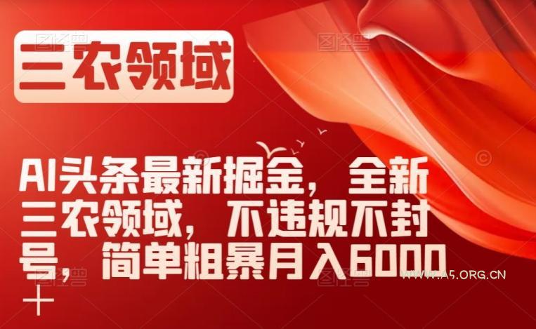 AI头条最新掘金，全新三农领域，不违规不封号，简单粗暴月入6000＋【揭秘】-小红泡